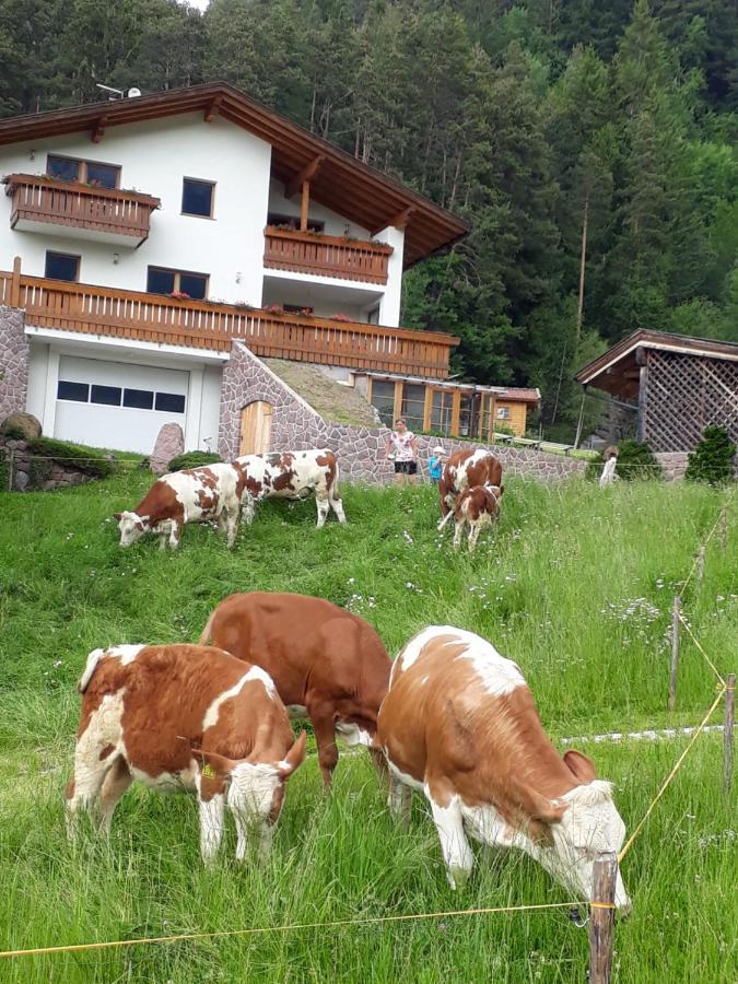 Апартаменты Polzhof Кастельротто Экстерьер фото